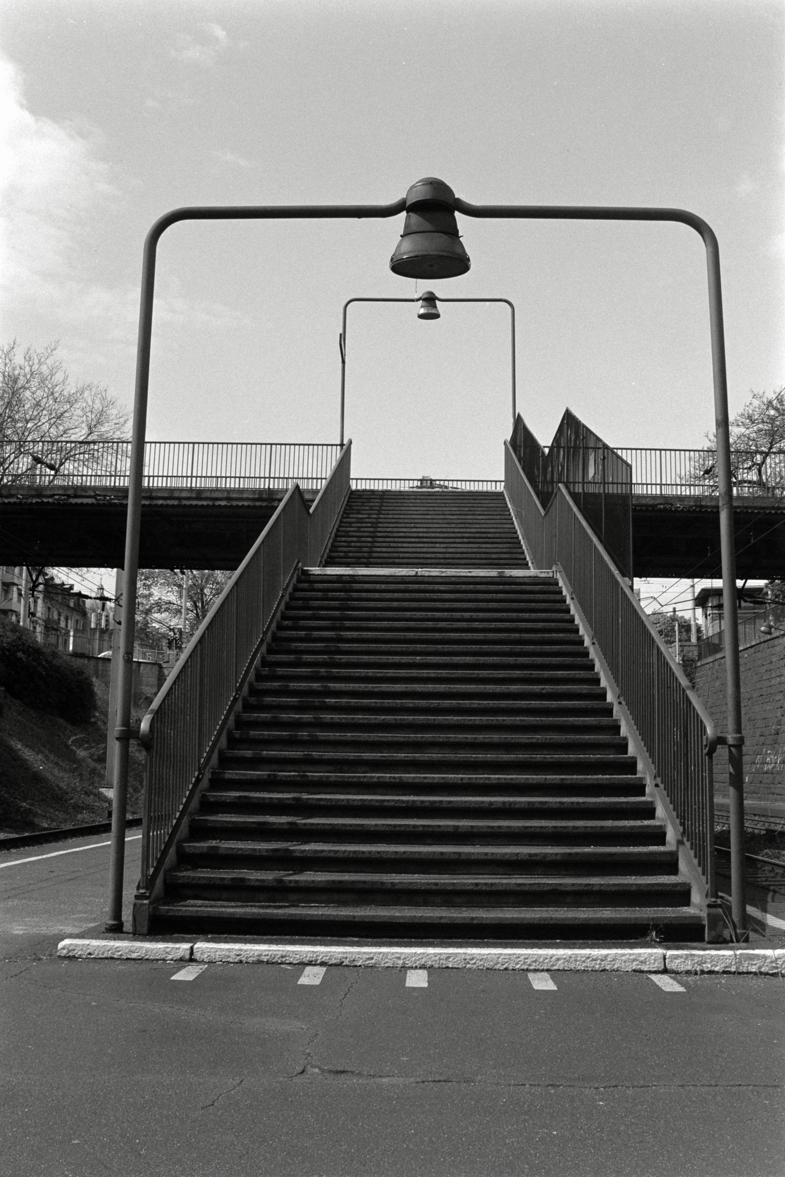 AHP F1992 04 002 sc250507 img27 NLP